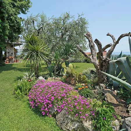 Apartment Mit Blick Auf Den Gardasee
